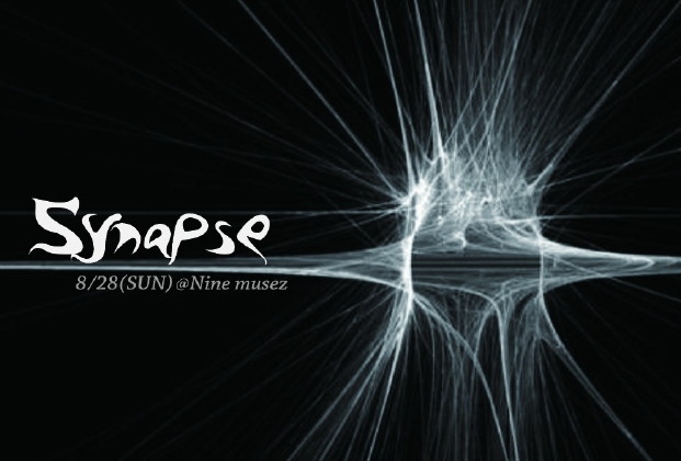 synapse.jpg